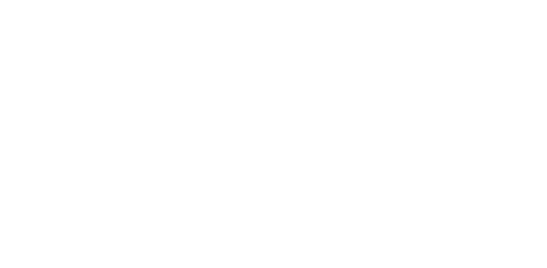 FENG OFFICIEL